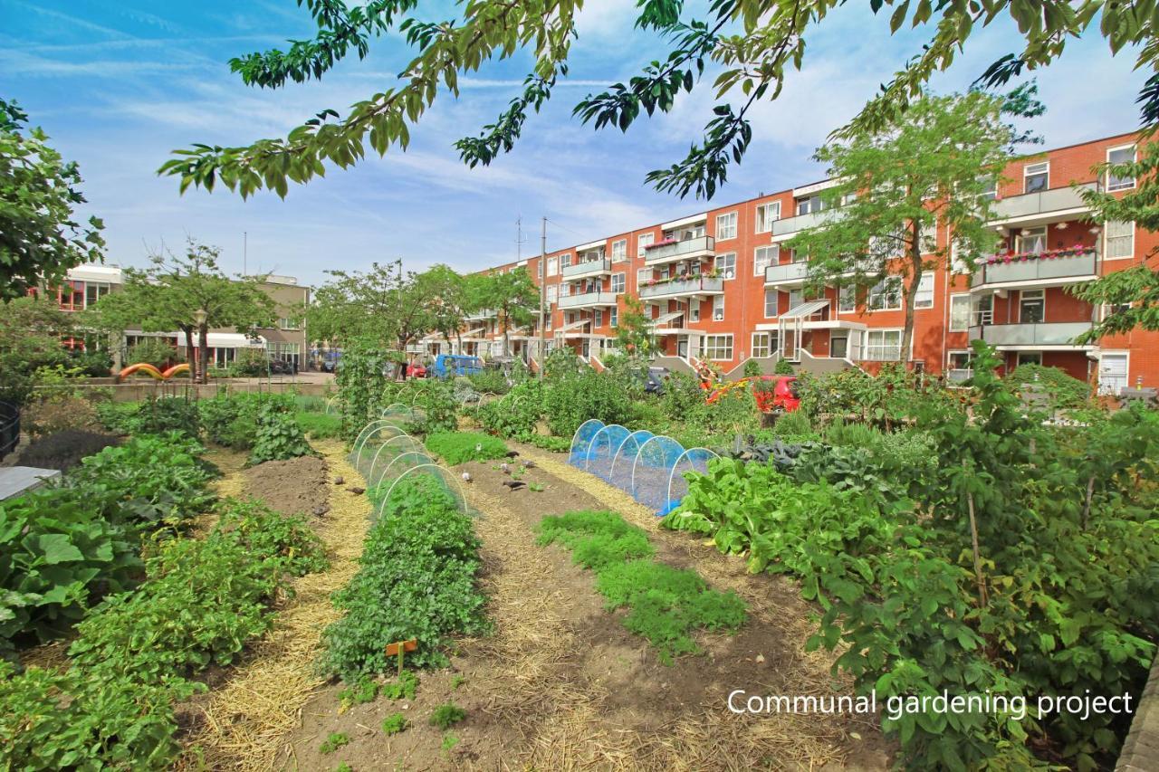 New Monumental Garden View Studio 암스테르담 객실 사진